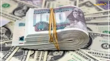 تثبيت عند هذا المستوى.. سعر الدولار يواصل الاستقرار أمام الجنيه المصري اليوم هل يستمر الهدوء؟ 1